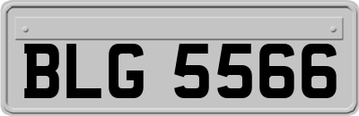 BLG5566