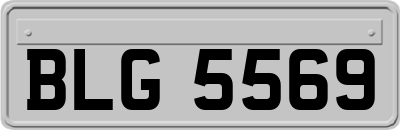 BLG5569