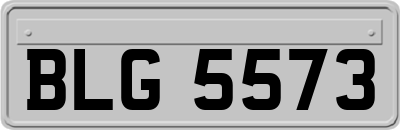 BLG5573