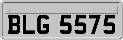 BLG5575