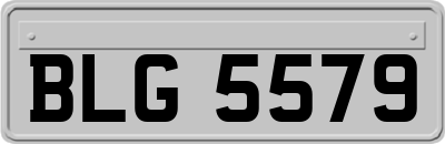 BLG5579