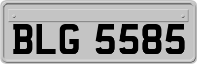 BLG5585