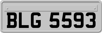 BLG5593