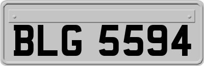 BLG5594