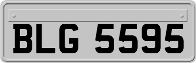 BLG5595