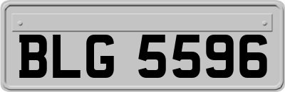 BLG5596