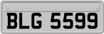 BLG5599