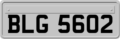 BLG5602