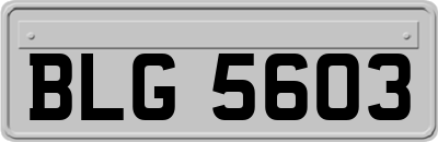 BLG5603