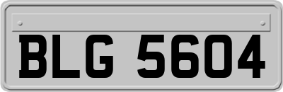 BLG5604