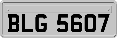 BLG5607