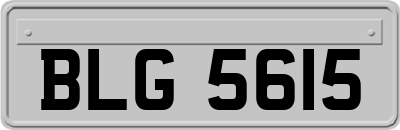 BLG5615