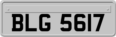 BLG5617
