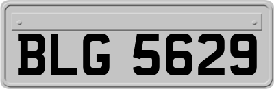 BLG5629