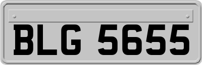 BLG5655