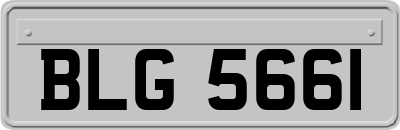 BLG5661