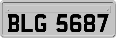 BLG5687