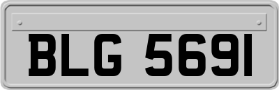 BLG5691