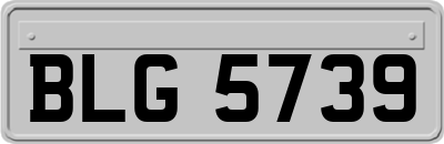 BLG5739