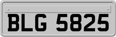 BLG5825