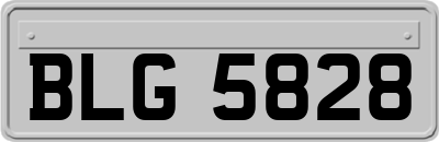 BLG5828