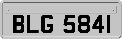 BLG5841