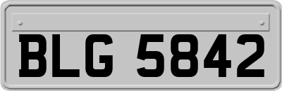 BLG5842