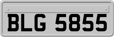 BLG5855