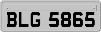 BLG5865