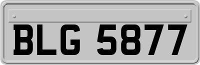BLG5877