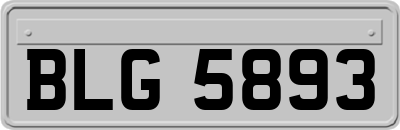BLG5893