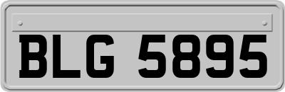 BLG5895