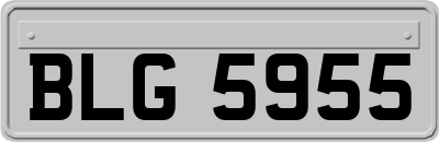 BLG5955