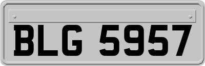 BLG5957
