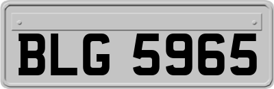 BLG5965