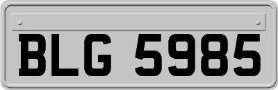 BLG5985