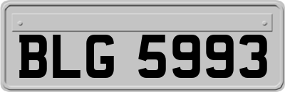 BLG5993