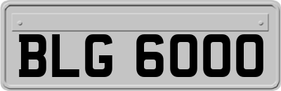BLG6000
