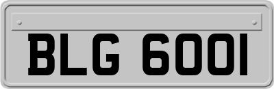 BLG6001