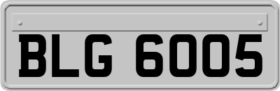 BLG6005