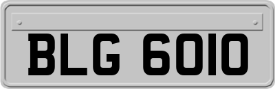 BLG6010