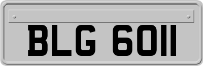 BLG6011