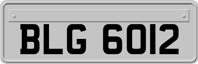 BLG6012