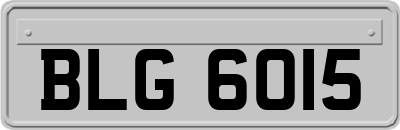 BLG6015