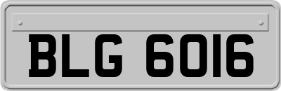 BLG6016
