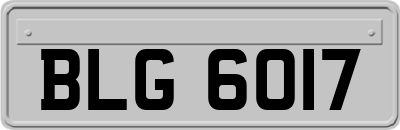 BLG6017