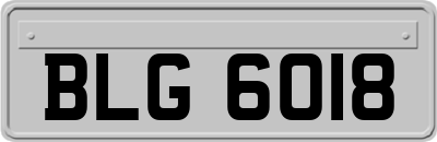 BLG6018