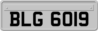 BLG6019