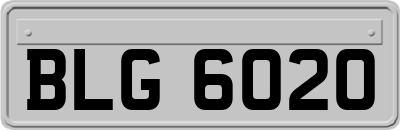 BLG6020