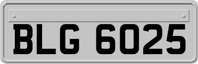 BLG6025
